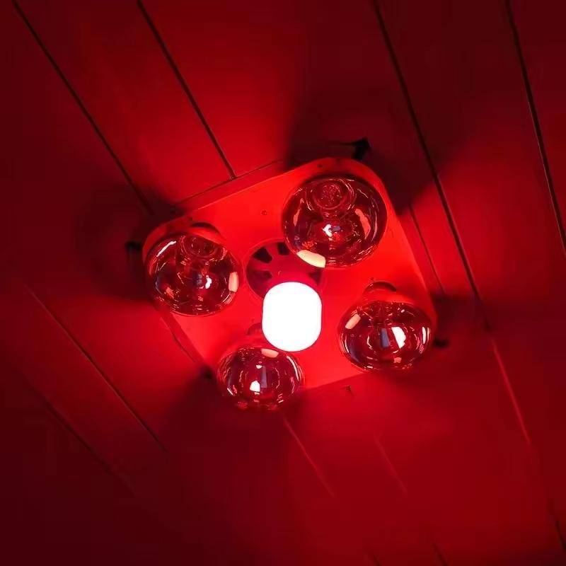 Outdoor Lighting Solar - Nuova Lampadina LED Rossa ad Alta