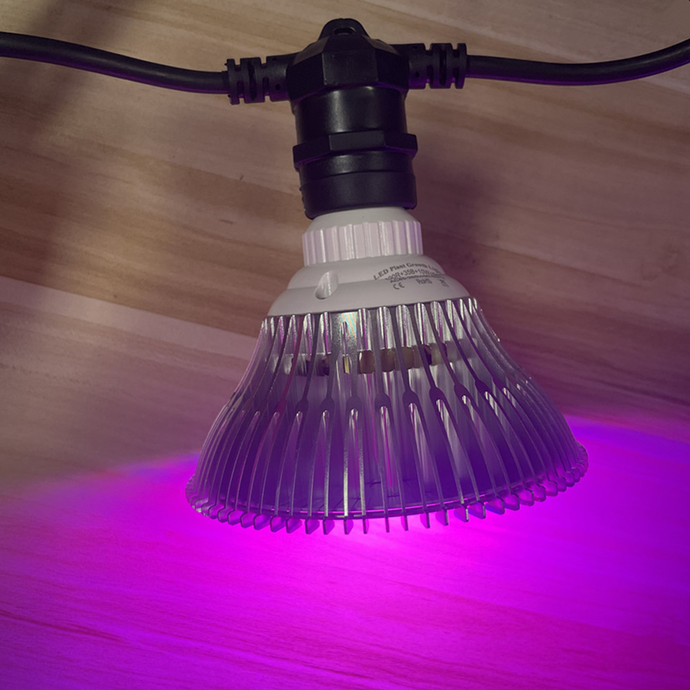 Cavo LED da 10 m, impermeabile - Lighting Wedding Outdoor recensione e prezzo
